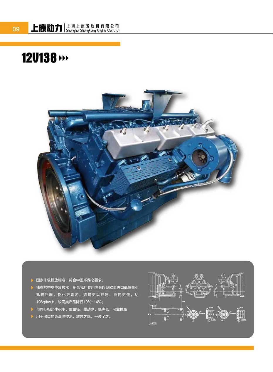 上海上康12V138发动机