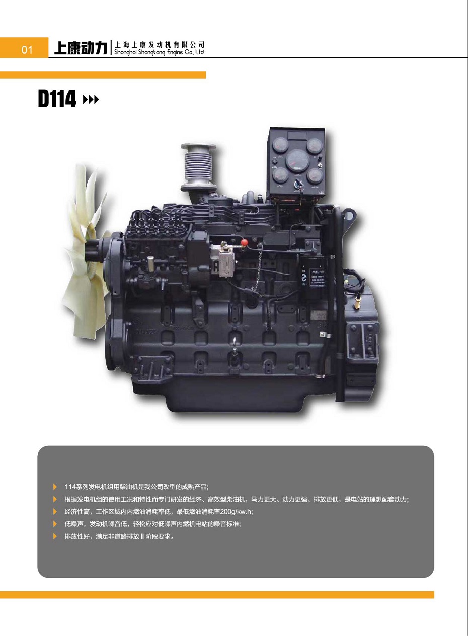 上海上康D114发动机